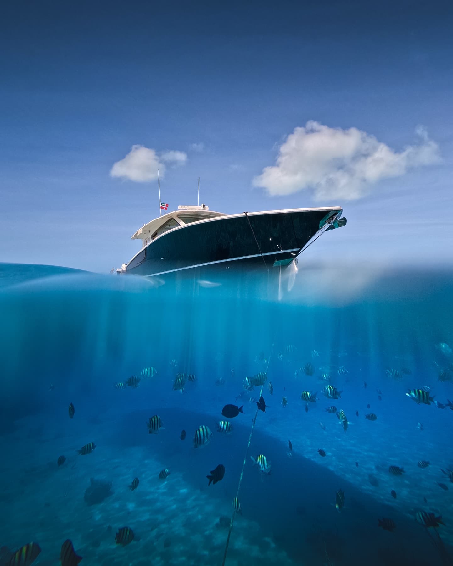 Split-level view of a tender at anchor, reef fish shoaling in the shallows below